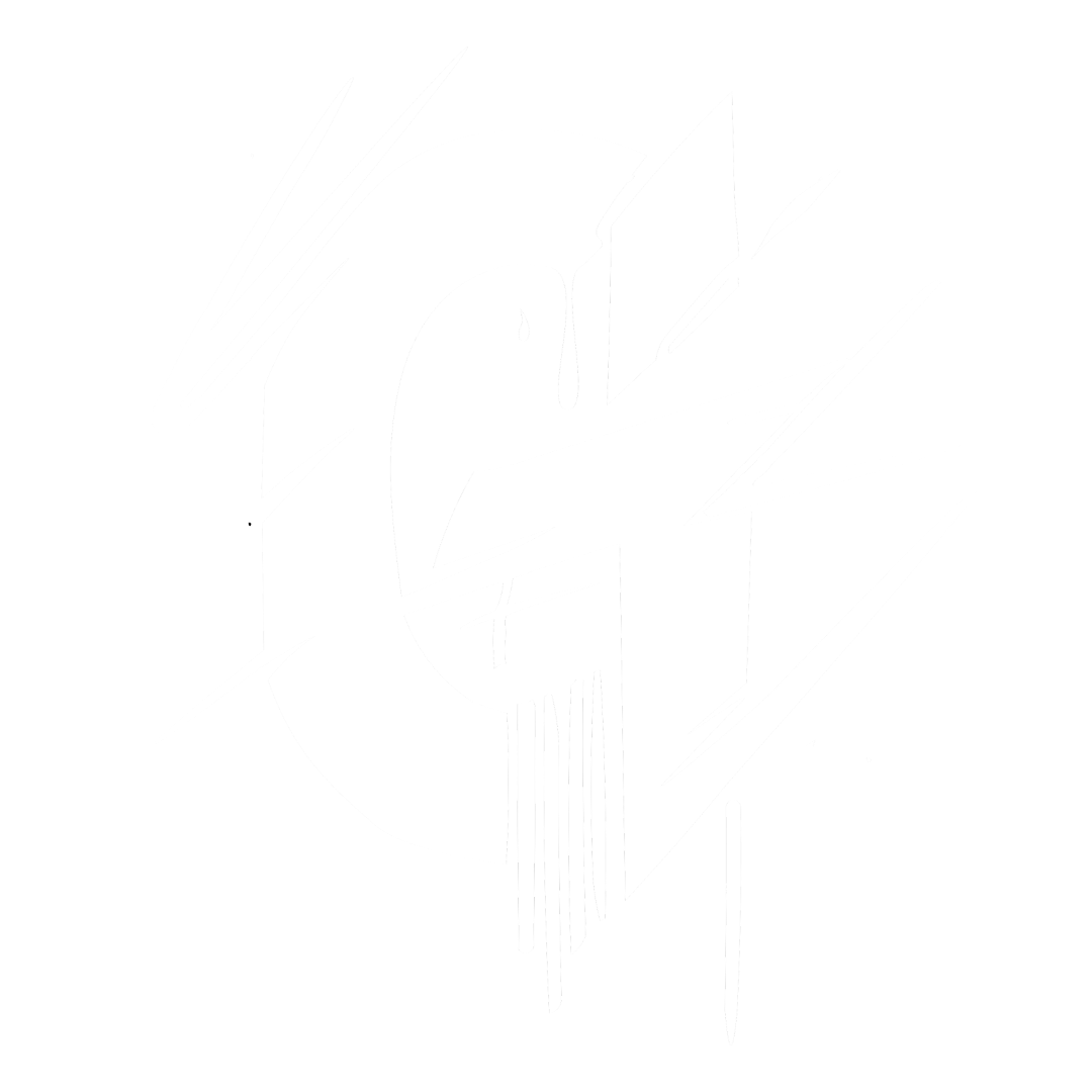 Go Social Hub Logo